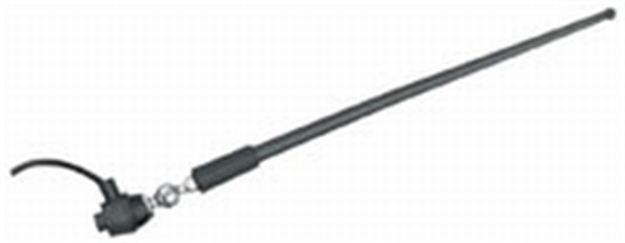 Picture of Anderson Ant Uni