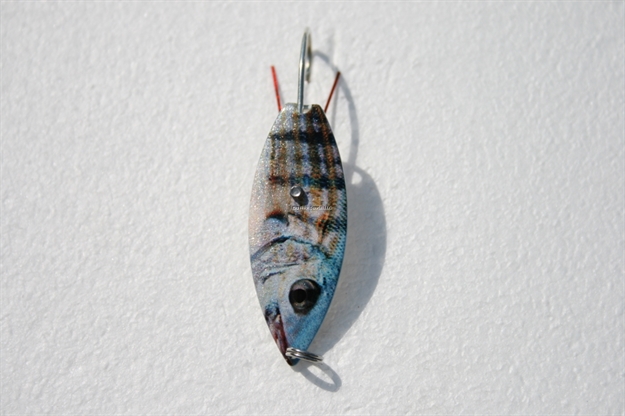 Picture of Aqua Dream Live Bait Weedless Willow Spoon, 1/4 Oz, Pinfish