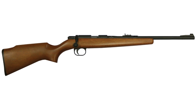 Picture of Armscor/Rock Island M14y 22Lr 18.5" 10Rd  Prk