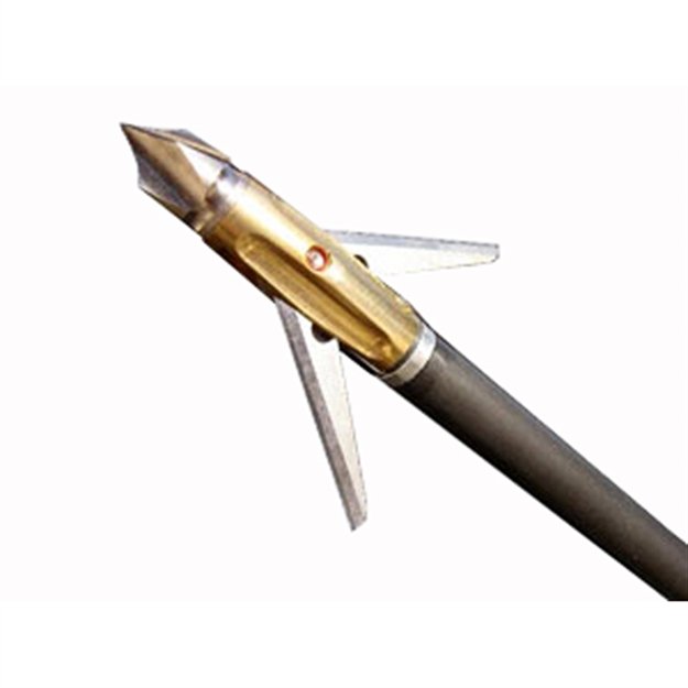 Picture of Arrow D Radian 100 Grain Asradian100 3Pk