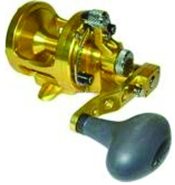 Picture of Avet SX Single Speed Conv Reel, Rh, 8Bb, 5.3:1 Ratio, Braid 20/350, 30/300, Mono 15/250, 20/175, Gold