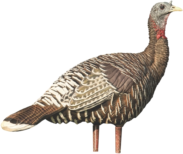 Picture of Avian-X 8009 Jake & Lookout Hen Merriam's Turkey Decoys
