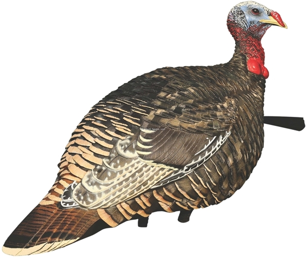 Picture of Avian-X 8010 Jake & Lookout Hen Rio Grande Turkey  Decoys