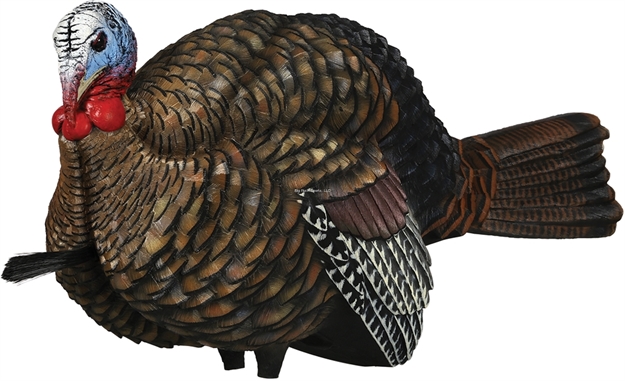 Picture of  Avian X Avxavx8012 Lcd Half-Strut Jake Turkey Species Multi Color Dura-Rubber