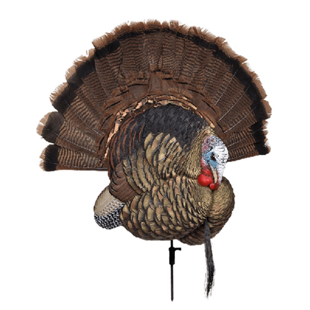 Picture of  Avian X Avxavx8021 Trophy Tom  Turkey Species Multi-Color *No Fan