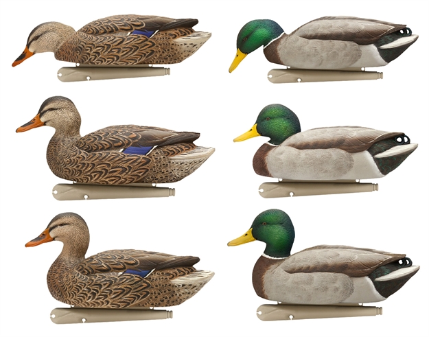 Picture of Avian-X Topflight Floating Duck Decoy, Fusion Mallards, Pack OF 6 FG-DCOY-68076