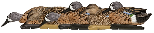 Picture of  Avian X Avxavx8080 Topflight  Blue-Winged Floating Teal Decoys Multi-Colored-6 Pack 810280080803
