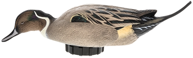 Picture of  Avian X Avxpshpnsf Power Shaker  Pintail Surface Feeder Duck Decoy Multi-Color 888151047552