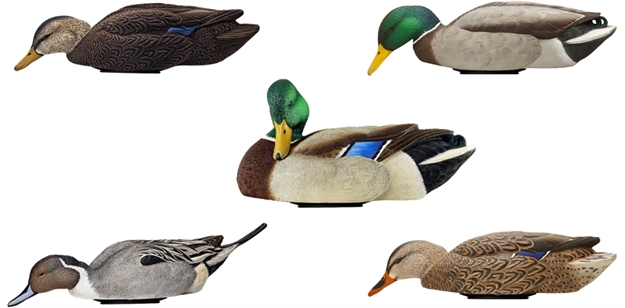 Picture of  Avian X Avx-Psw-Mdlh Power Swimmer  Mallards Multi-Color