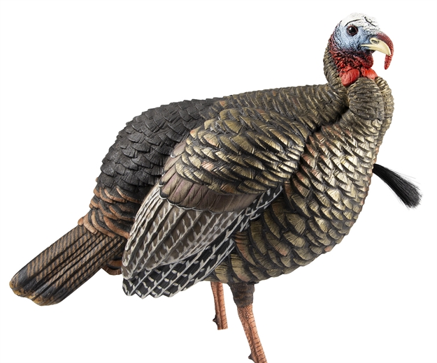 Picture of Avian-X Hdr Blow Molded Jake Decoy, 2 Removable Heads, Carbon Stake, Decoy Bag AVX8105