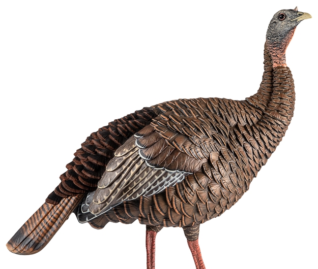 Picture of Avian-X Hdr Hen Turkey Decoy, 2 Removable Heads, Integrated Stake, Decoy Bag AVX8106