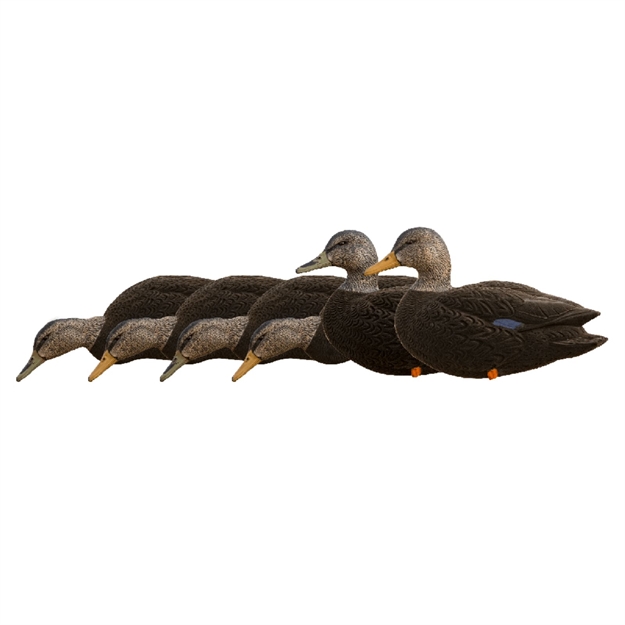 Picture of Avian-X Axf Black Ducks Fusion Pack