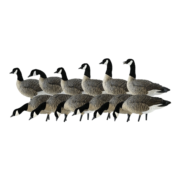 Picture of Avian-X Axf Lessers Outfitter Pack