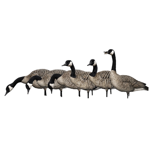 Picture of Avian-X Axp Honkers Fusion Pack AVX-AVX9006