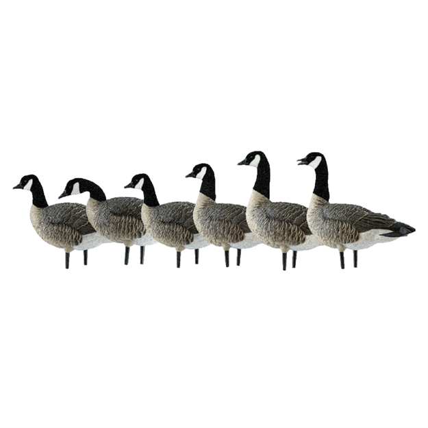 Picture of Avian-X Axp Lessers Active Pack