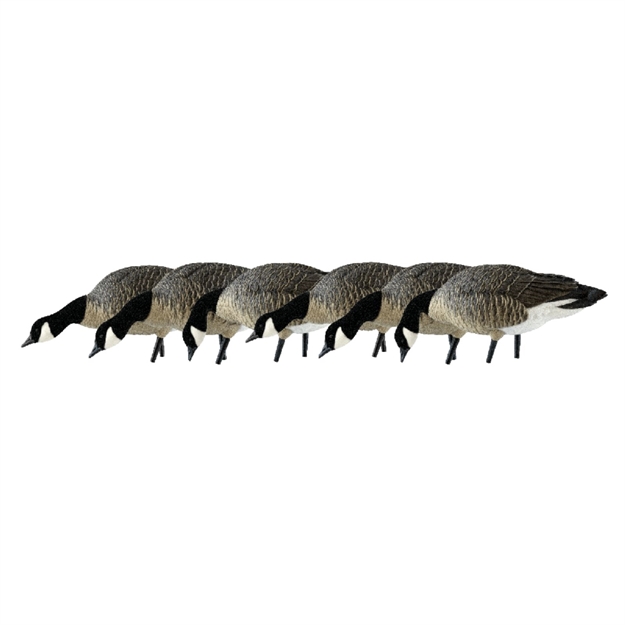 Picture of Avian-X Axp Lessers Feeder Pack