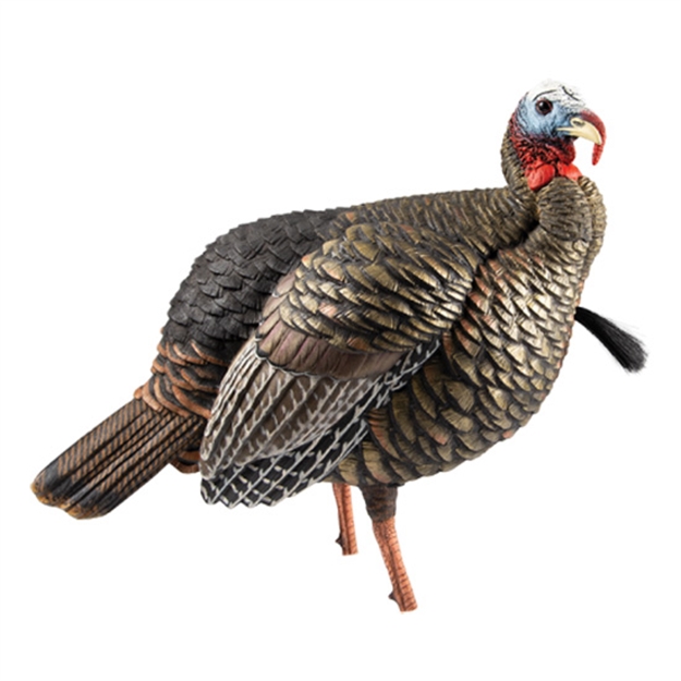 Picture of Avian-X Hdr Blow Molded Jake Decoy, 2 Removable Heads, Carbon Stake, Decoy Bag AVX8105 082271001030