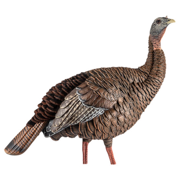 Picture of Avian-X Hdr Hen Turkey Decoy, 2 Removable Heads, Integrated Stake, Decoy Bag AVX8106 082271001696