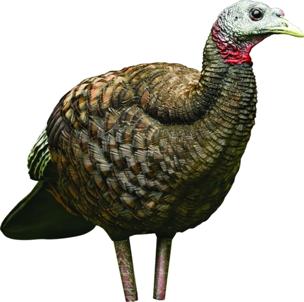 Picture of  Avian X Avxavx8008 Lcd Breeder Hen Turkey Species Multi Color Dura-Rubber