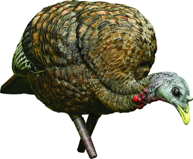 Picture of  Avian X Avxavx8007 Lcd Feeder Hen Turkey Species Multi Color Dura-Rubber 810280080070