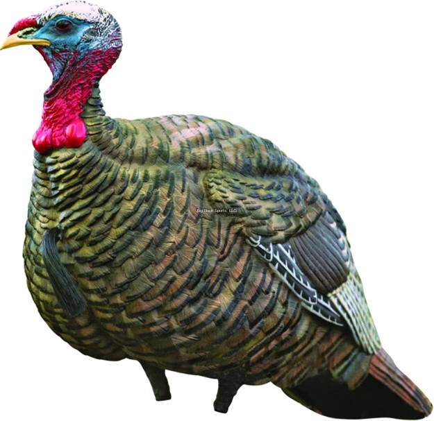 Picture of  Avian X Avxavx8003 Lcd Quarter-Strut Jake Turkey Species Multi Color Dura-Rubber 810280080032