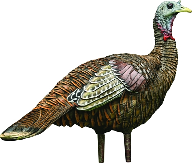 Picture of  Avian X Avxavx8006 Lcd Lookout Hen Turkey Species Multi Color Dura-Rubber 810280080063