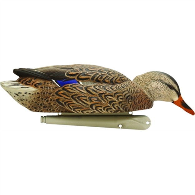 Picture of Avian-X Topflight Floating Duck Decoy, Backwater Mallard, Pack OF 6