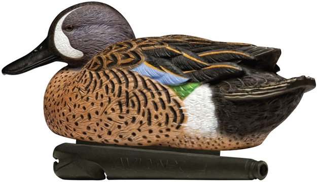 Picture of  Avian X Avxavx8080 Topflight  Blue-Winged Floating Teal Decoys Multi-Colored-6 Pack