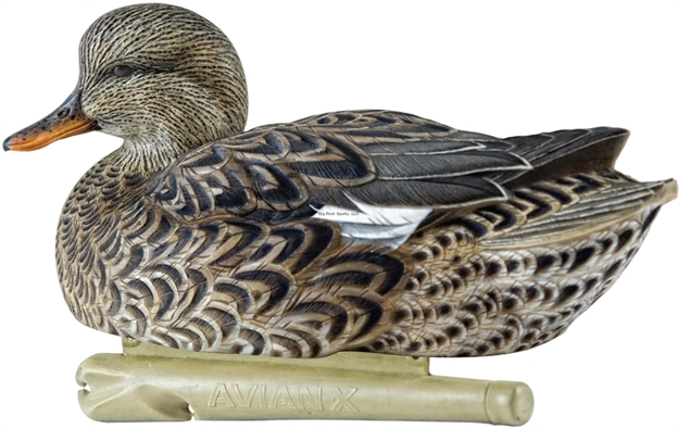 Picture of Avian-X Top Flight Floating Duck Decoy Gadwall 6 Pack