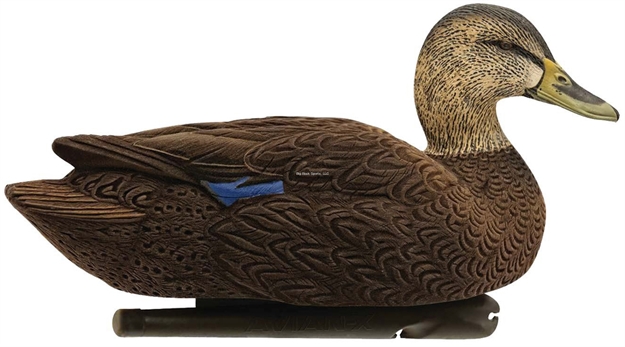 Picture of Avian-X Top Flight Flocked Floating Duck Decoy Black Duck 6 Pack