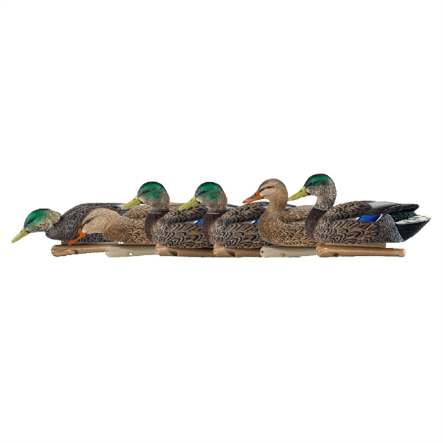 Picture of Avian-X Topflight Decoys Early Season Mallards