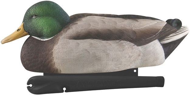 Picture of Avian-X Topflight Floating Duck Decoy, Fusion Mallards, Pack OF 6 FG-DCOY-68076 810280080766