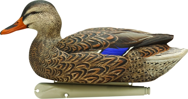 Picture of Avian-X Topflight Floating Duck Decoy, Open Water Mallard, Pack OF 6