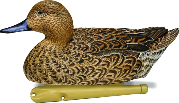 Picture of Avian-X Topflight Floating Duck Decoy, Pintail, Pack OF 6