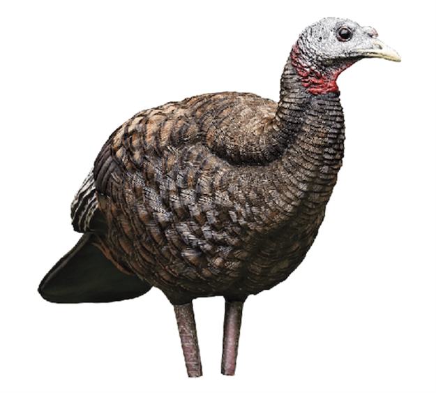 Picture of  Avian X Avxavx8008 Lcd Breeder Hen Turkey Species Multi Color Dura-Rubber