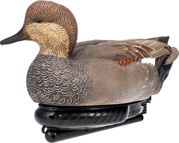 Picture of Avian X X Power Swimmer Gadwall Drake Decoy AVX-PSW-GDSW