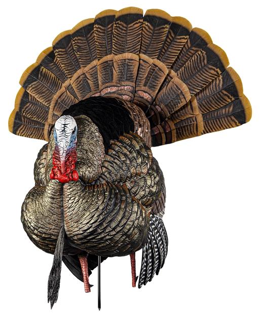 Picture of  Avian X Avxavx8108 Hdr Strutter Turkey Species Multi Color