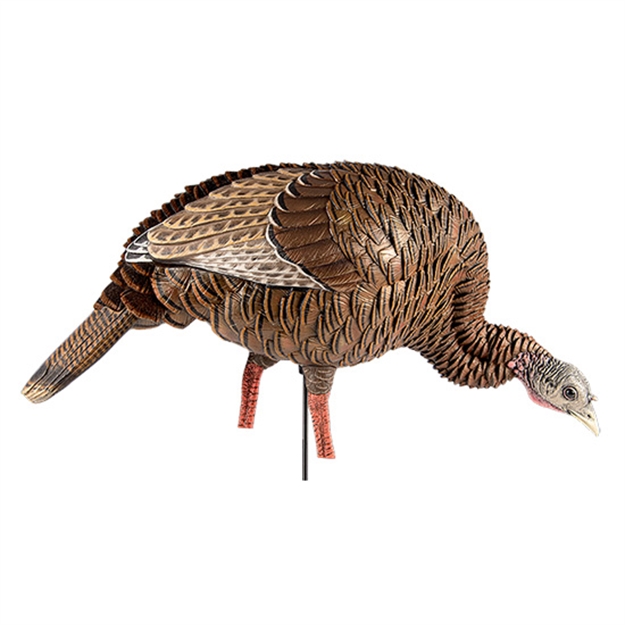 Picture of  Avian X Avxavx8107 Hdr Feeder Hen Turkey Species Multi-Color 082271001818