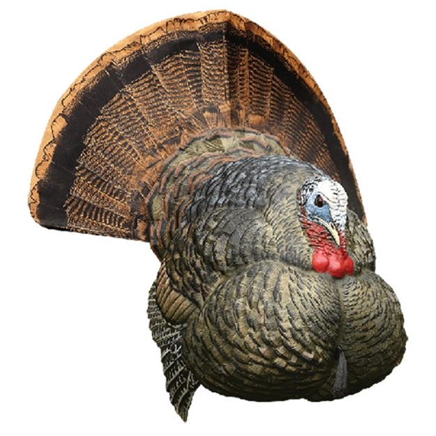 Picture of Avx Lcd Strutter Tky Decoy 8004 010280080049