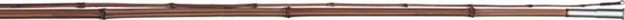 Picture of B & M TL Rigged Cane Pole, 10', 2 PC