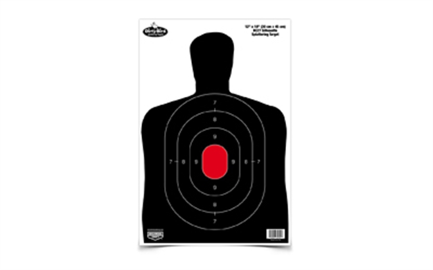 Picture of  Birchwood Casey 35707 Dirty Bird Bc-27 Silhouette Tagboard Hanging Pistol 12" X 18" Black/White 8 Per Pkg