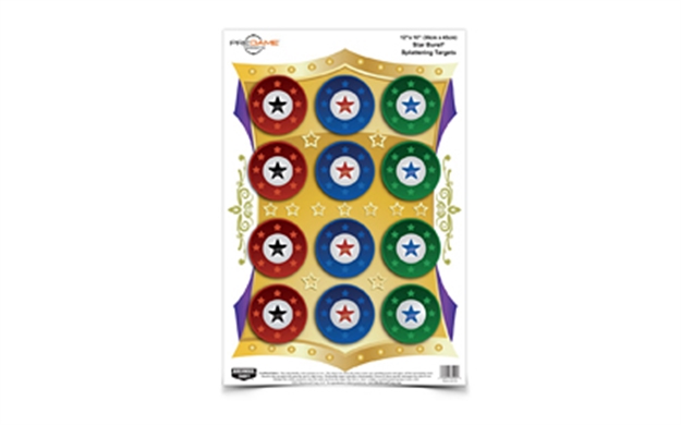 Picture of Birchwood Casey Pregame Star Burst 12X18 Target 8/Pk 35572