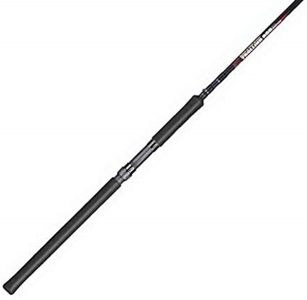 Picture of B-N-M Pro Staff Trolling Rod 10' 2Pc