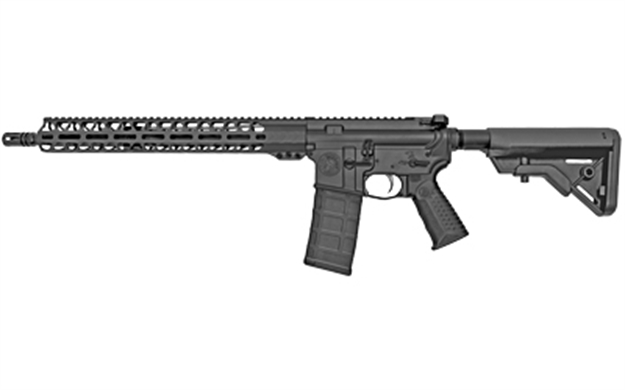 Picture of Bad Wrkhs Ptr 223Wylde 16" 30Rd Blk WORKHORSE-017