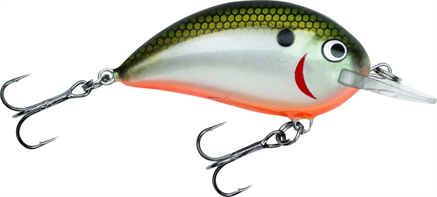 Picture of Bagley Lures Shallow Sunny B Balsa Crankbait, 2", 3/8 Oz, Tennessee Shad/Orange Belly