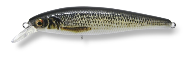 Picture of Baker Suspending Jerk Bait, 3 1/4", 1/3 Oz, Black Scale