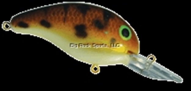 Picture of Bandit Lures 200 Series Crankbait, 2", 1/4 Oz, Natural Goby, Floating
