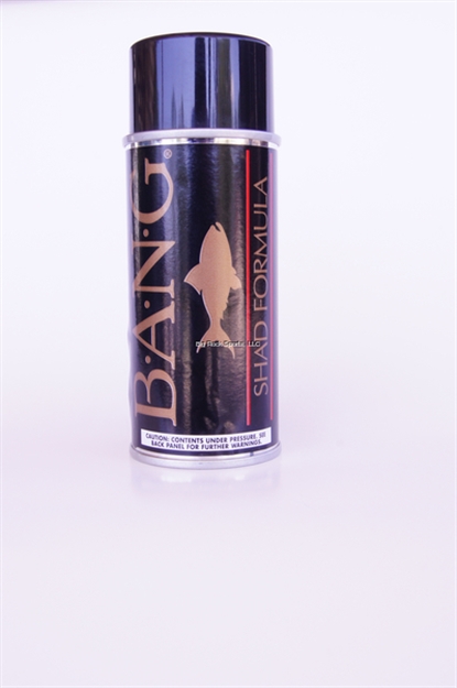 Picture of Bang Shad Formula 5Oz Aerosol