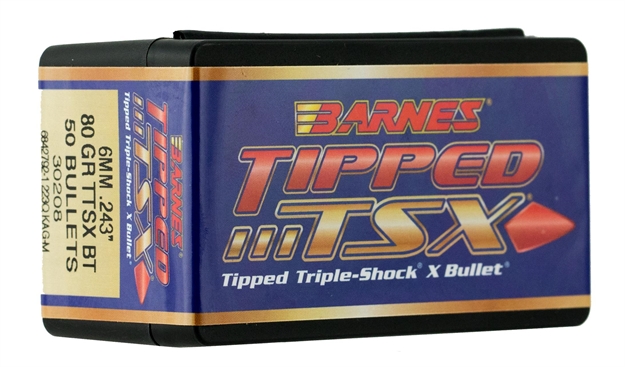 Picture of Tipped Tsx® 6Mm (.243'') Polymer Tip Boat Tail Rifle Bullets 30208