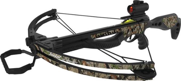 Picture of Barnett Jackal Pkg Red Dot